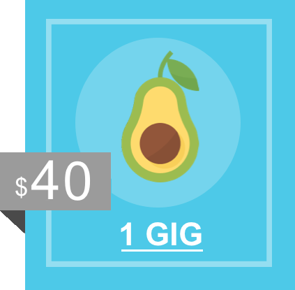 image of an avacado