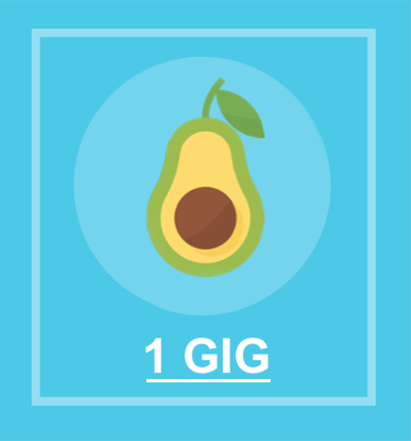 image of an avocado