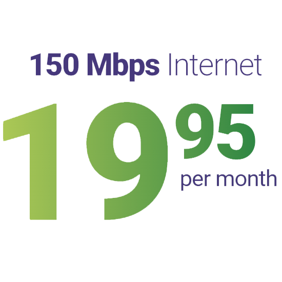 image of a 19.95 price