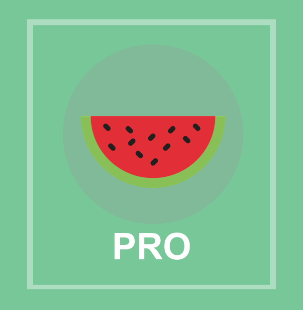 image of a slice of watermelon